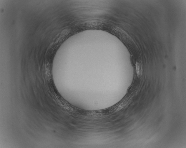 X0000072991107200608211509