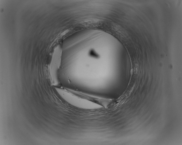 X0000072991108200608211509