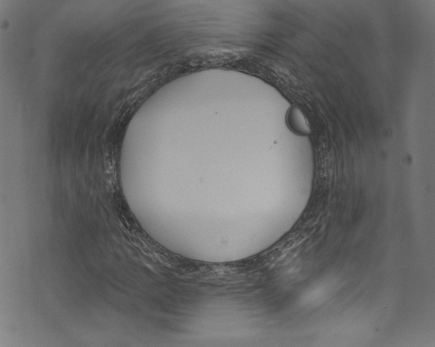 X0000072991109200608211509