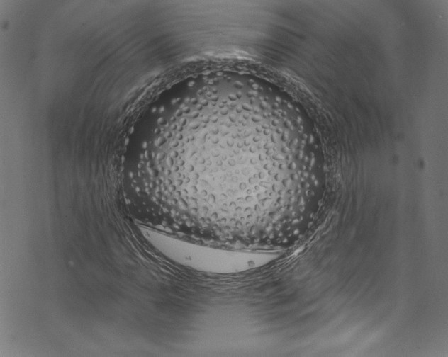 X0000072991110200608211509