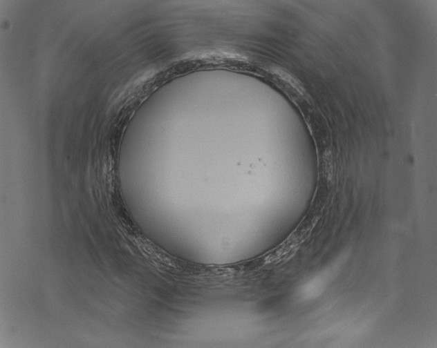 X0000072991111200608211509