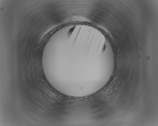 X0000072991112200608211509