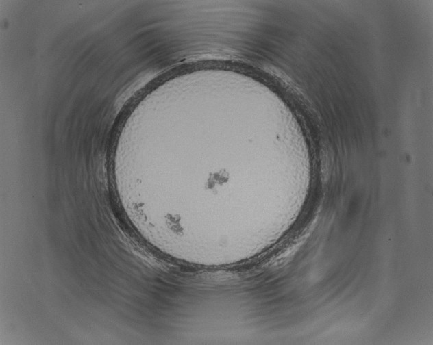 X0000072991113200608211509