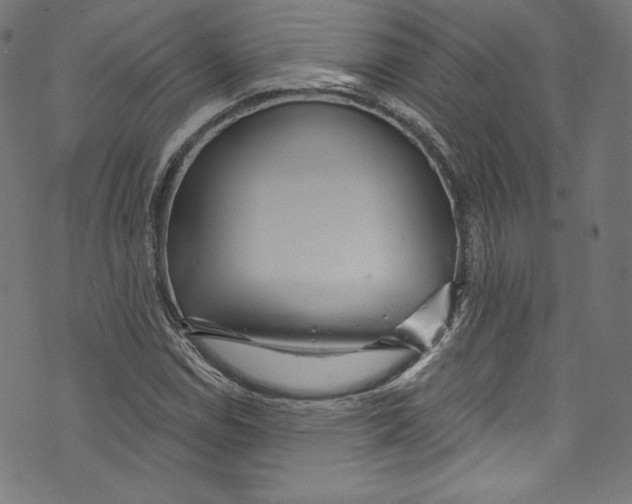 X0000072991114200608211509