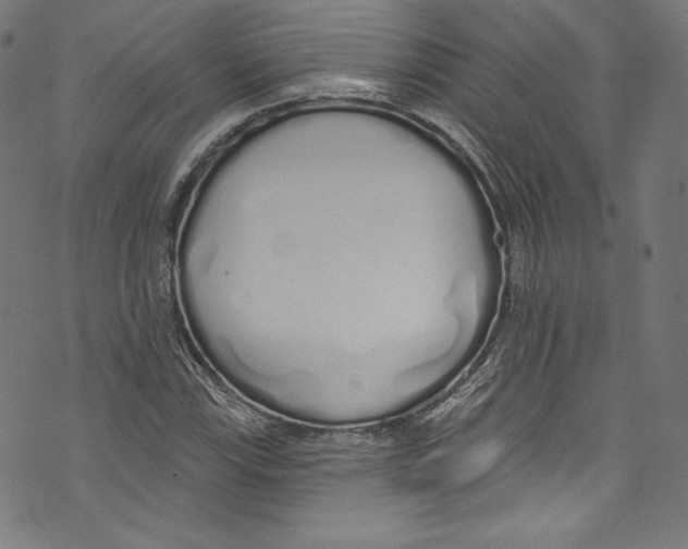 X0000072991115200608211509