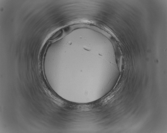 X0000072991116200608211509