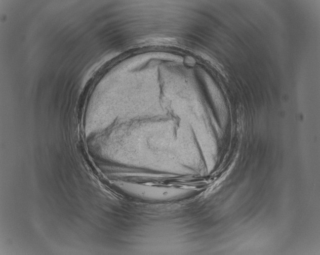 X0000072991117200608211509