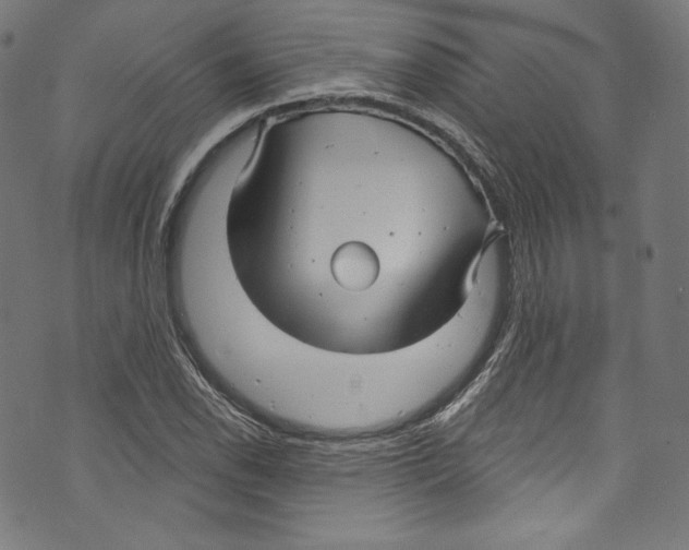 X0000072991118200608211509