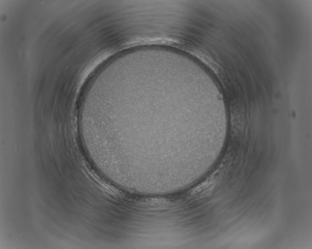 X0000072991119200608211509