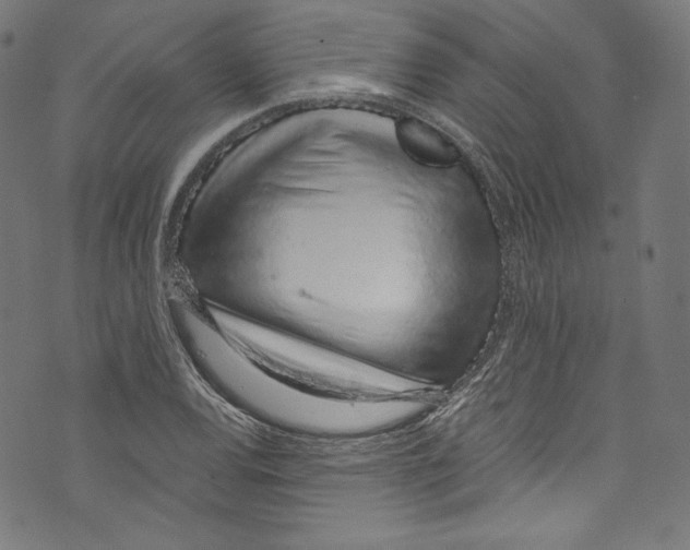 X0000072991120200608211509