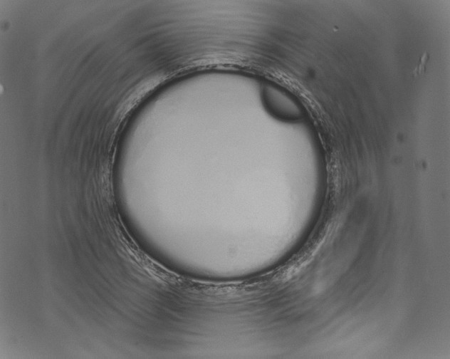 X0000072991121200608211509