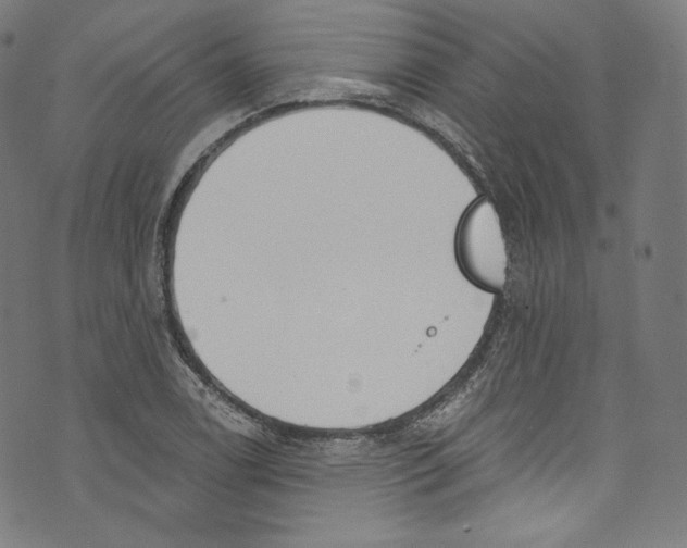 X0000072991122200608211509