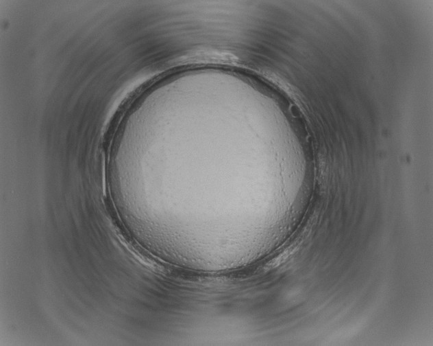 X0000072991123200608211509