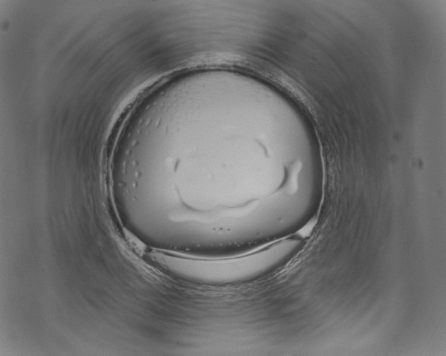 X0000072991124200608211509