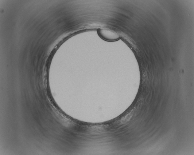 X0000072991126200608211509