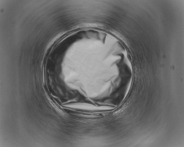 X0000072991127200608211509