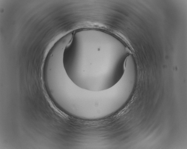 X0000072991128200608211509