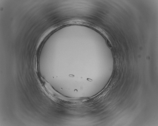 X0000072991131200608211509