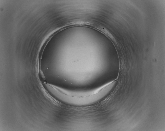 X0000072991132200608211509