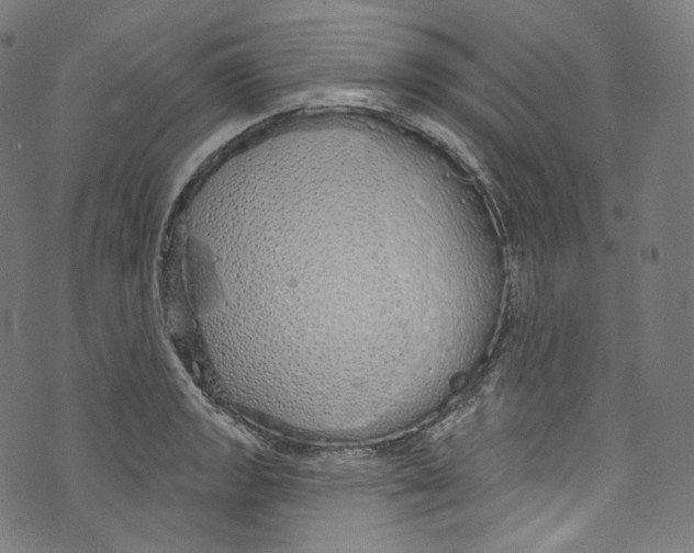 X0000072991133200608211509