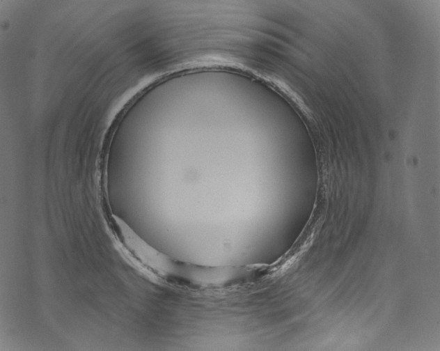 X0000072991134200608211509