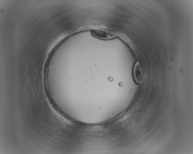 X0000072991135200608211509