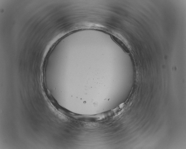 X0000072991136200608211509