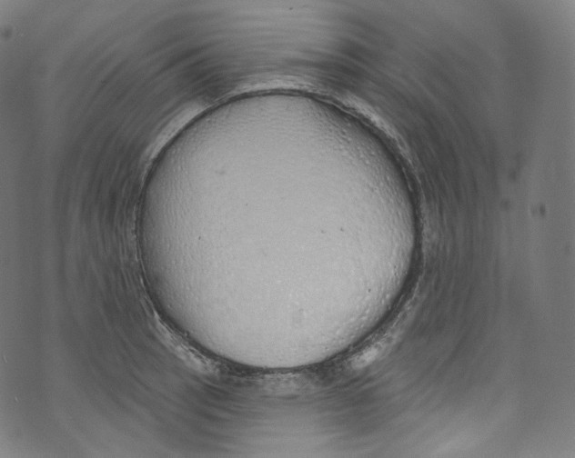 X0000072991137200608211509