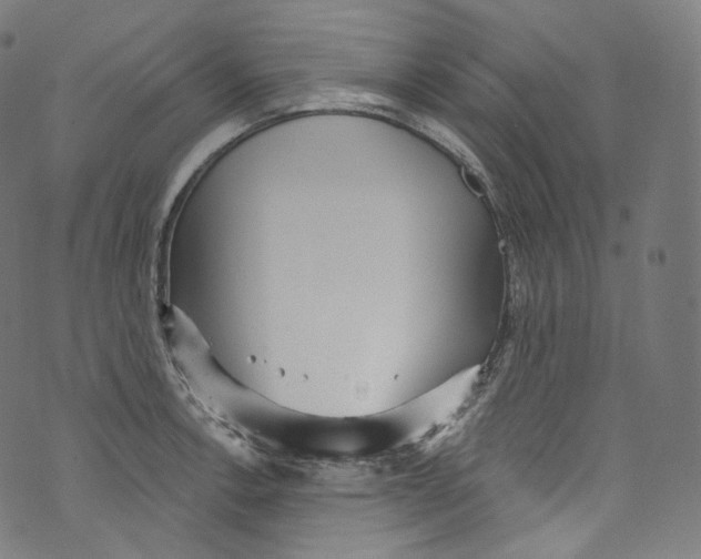 X0000072991138200608211509