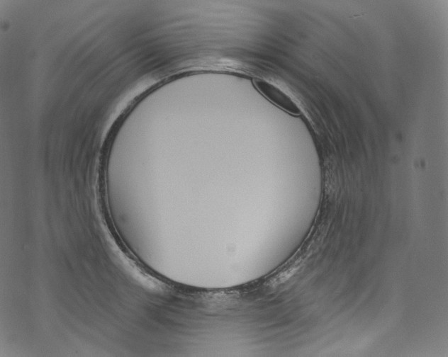 X0000072991139200608211509