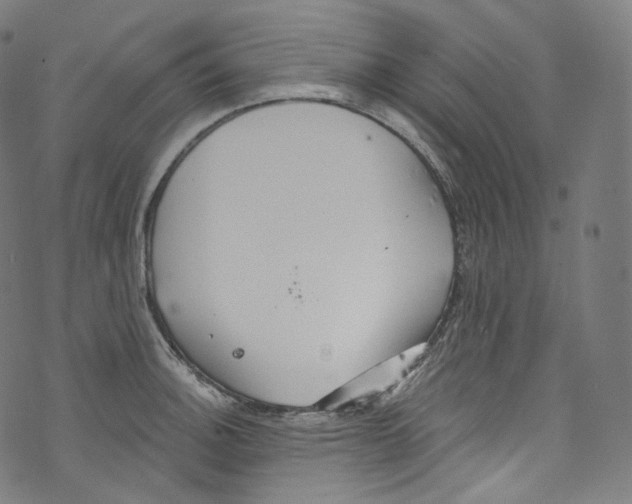 X0000072991140200608211509