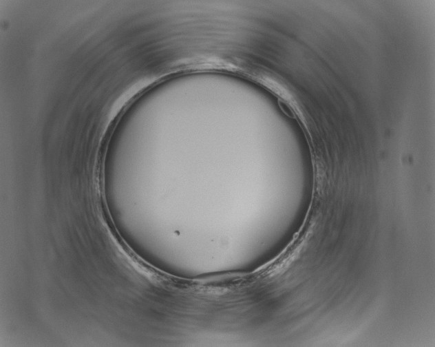 X0000072991141200608211509