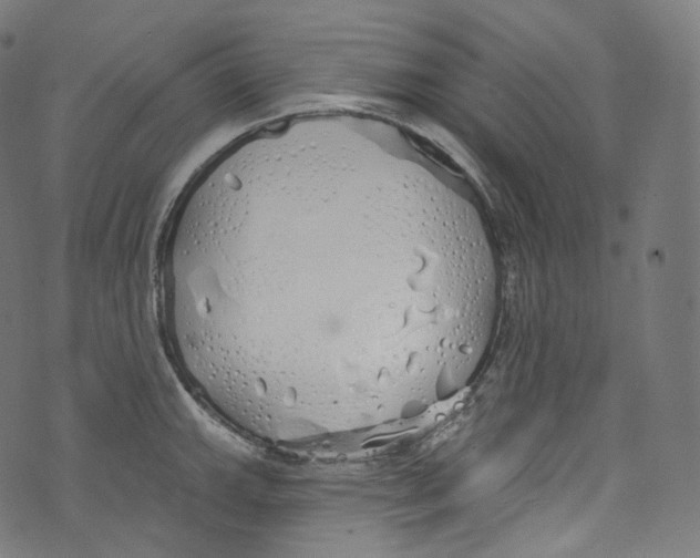 X0000072991143200608211509