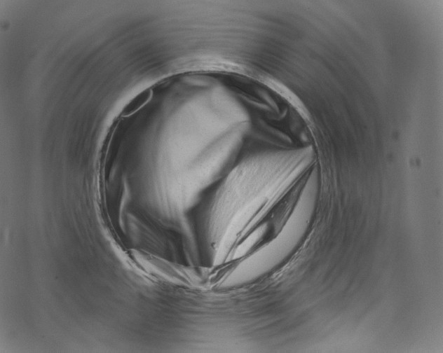 X0000072991144200608211509