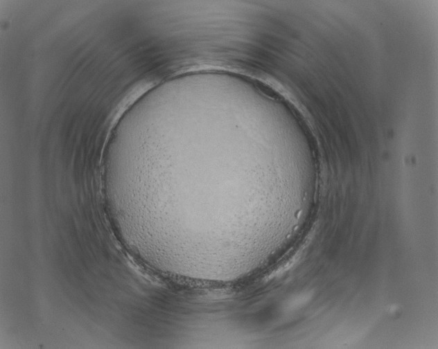 X0000072991145200608211509