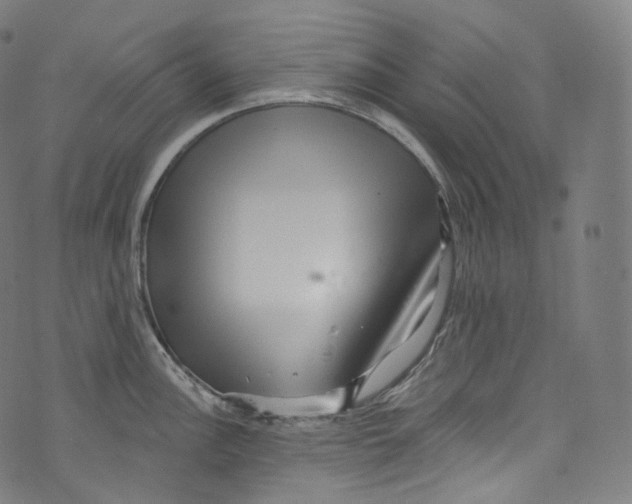 X0000072991148200608211509