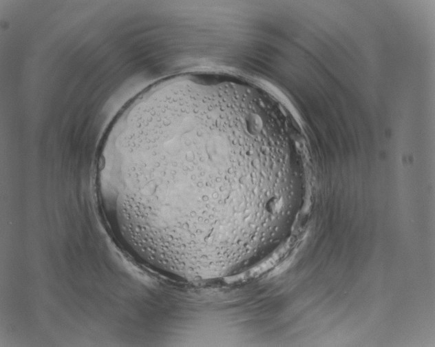 X0000072991149200608211509