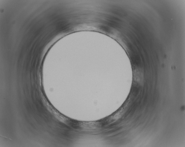 X0000072991150200608211509