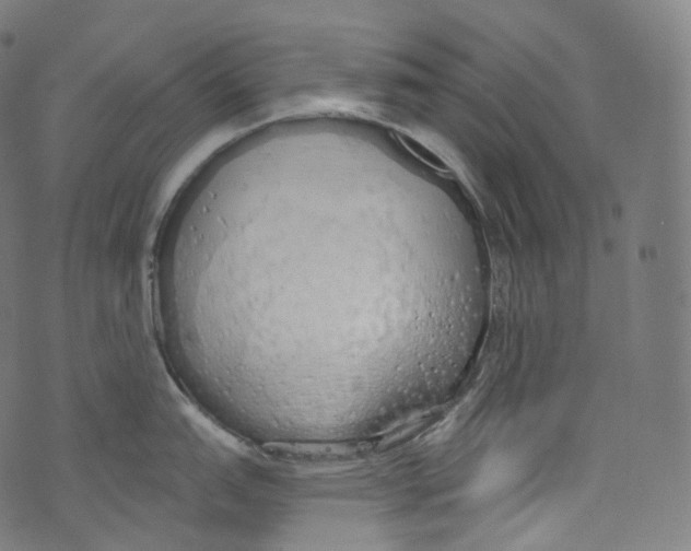 X0000072991151200608211509