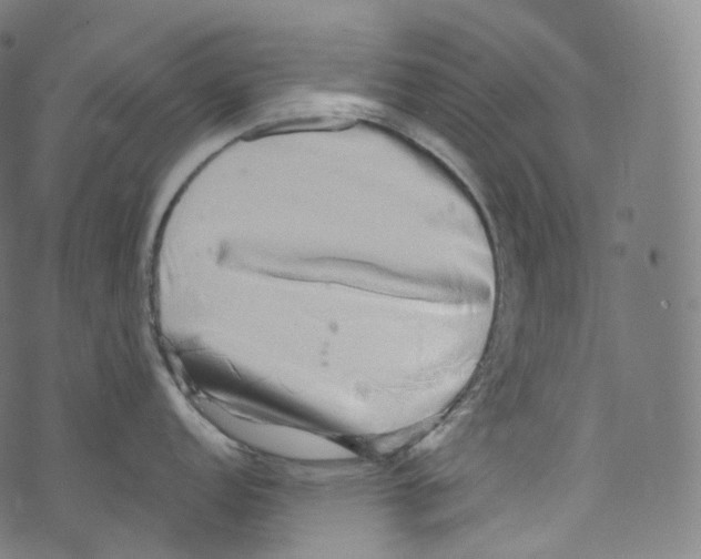 X0000072991152200608211509