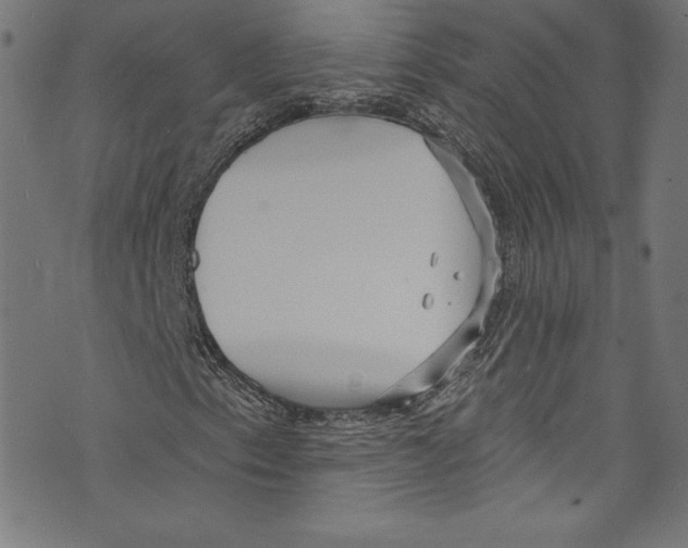 X0000072991153200608211508