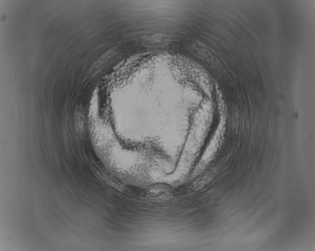 X0000072991154200608211508