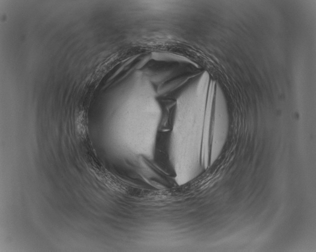 X0000072991156200608211508