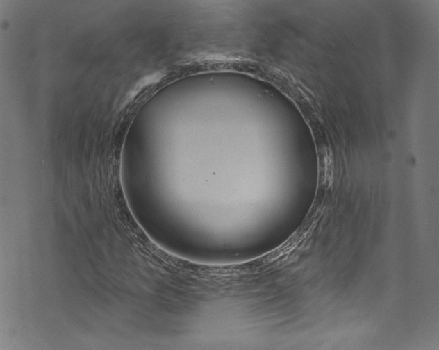 X0000072991157200608211508