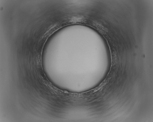 X0000072991158200608211508