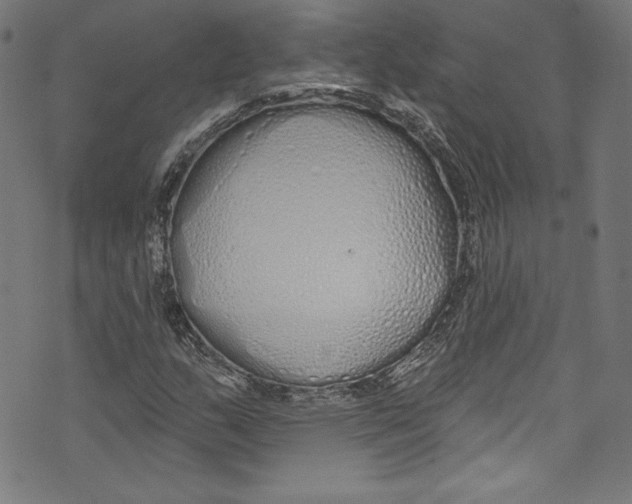 X0000072991159200608211508