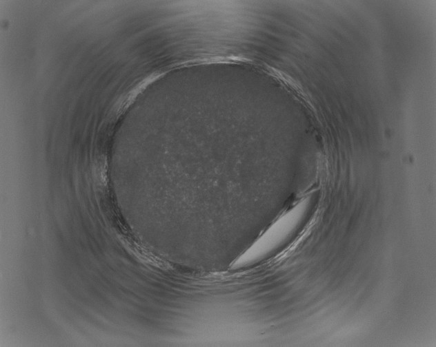 X0000072991161200608211508