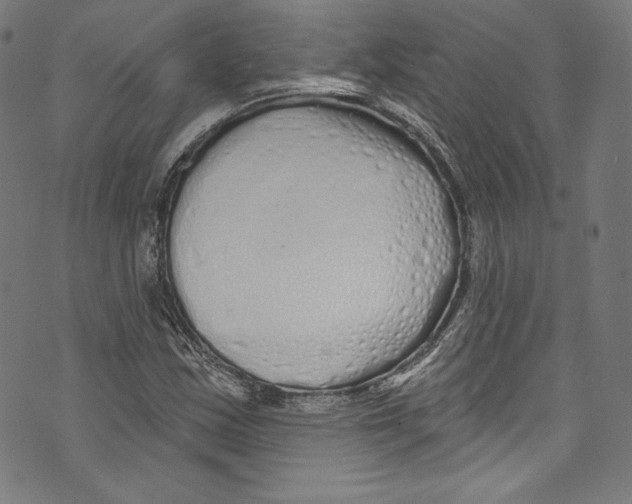 X0000072991163200608211508