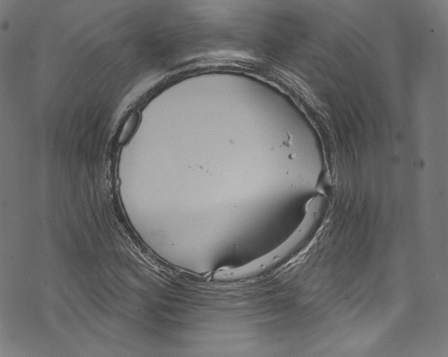 X0000072991164200608211508