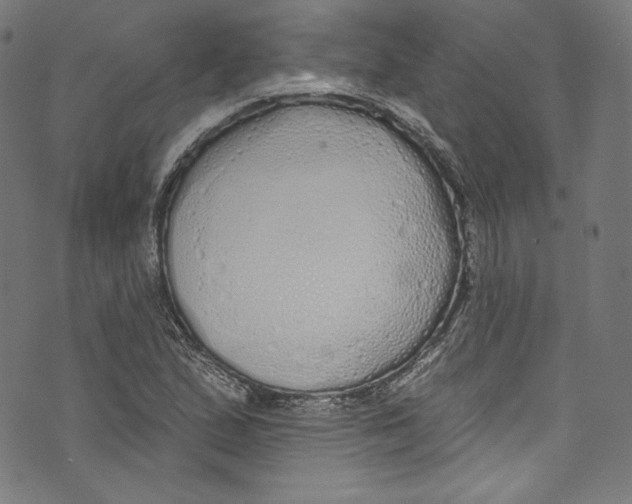 X0000072991167200608211508